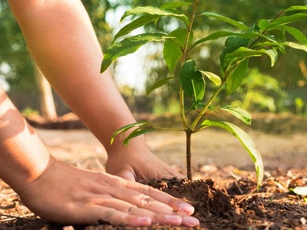 Anticipez votre implantation en Zones de Revitalisation Rurale !