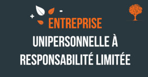 Entreprise unipersonnelle à responsabilité limitée