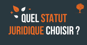 Choix statut entreprise