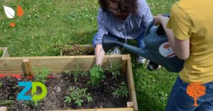 potager collaboratif